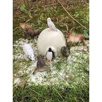 Coffert animaux des environnements froids- 7 figurines- Hope Education thumbnail image 2