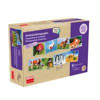 Atelier photos logiques : 'les animaux' - Image principale