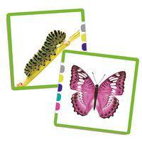 Atelier : les complémentaires thumbnail image 5