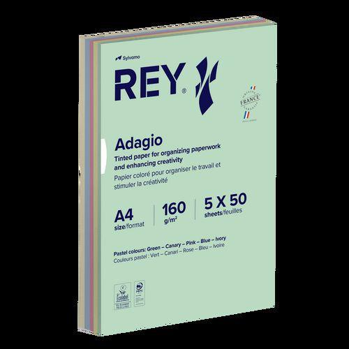 Illustration de : Ramette 250 feuilles A4 160g 5 teintes pastels assorties - Rey