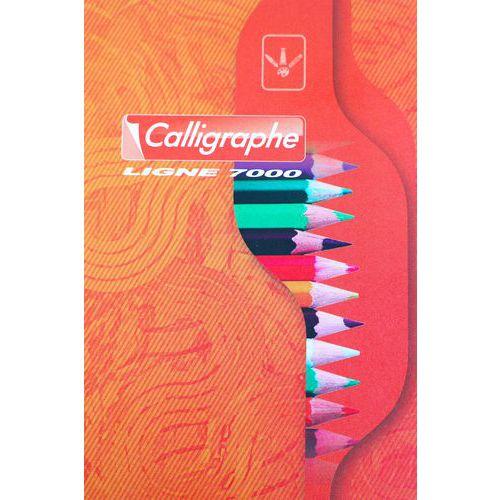Illustration de : Cahier dessin albums maternelle 24x32 cm 48 pages uni 120g - Pichon