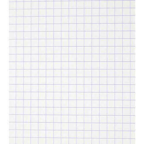 Illustration de : Etui 50 copies doubles 200 pages 90g A4 perforées 5x5 - Pichon