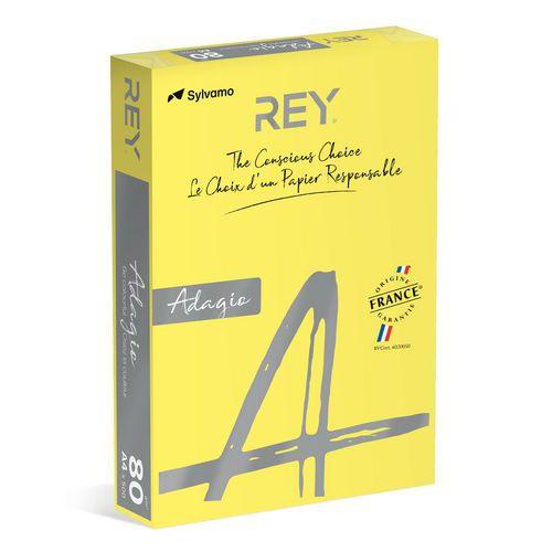 Ramette couleur vive 500 feuilles 80g A4 à la teinte - Rey thumbnail image 1