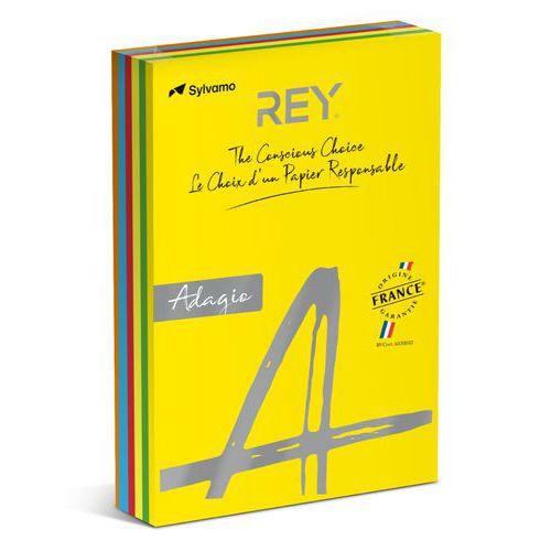 Illustration de : Ramette 500 feuilles A4 80g 5 teintes vives assorties - Rey