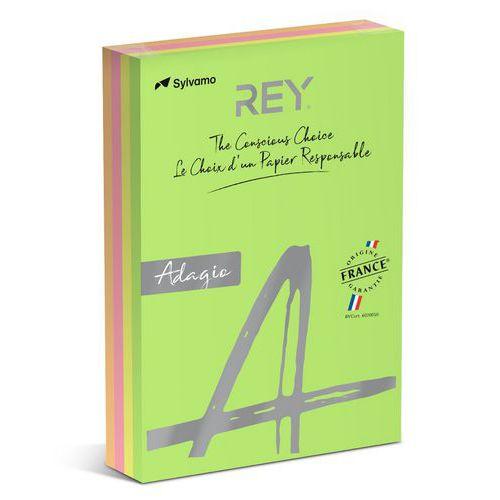 Ramette 500 feuilles A4 80g 4 teintes fluorescentes assorties thumbnail image 1