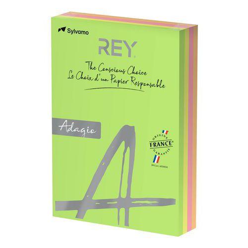 Illustration de : Ramette 500 feuilles A4 80g 4 teintes fluorescentes assorties - Rey