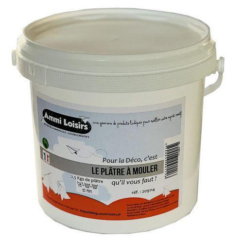 Illustration de : Seau de plâtre 2,5kg - Ammi