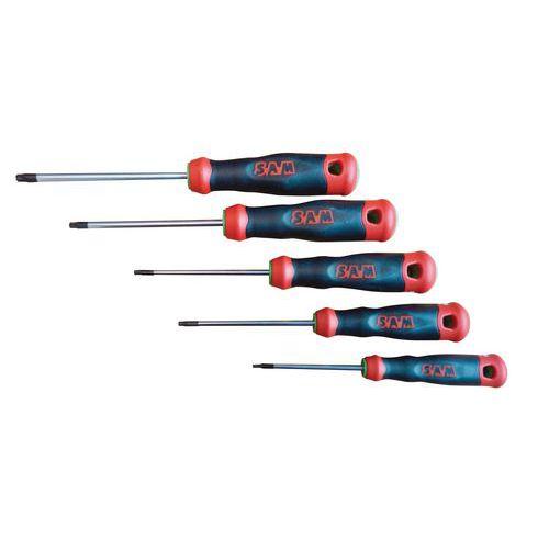 Tournevis S1 Torx jeu de 5 fullname image