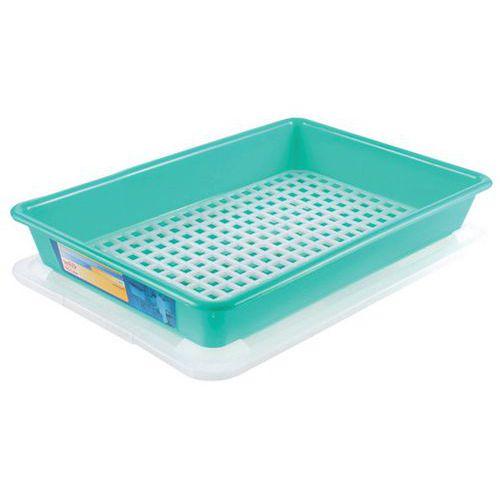 Bac plat HACCP avec couvercle et grille - GILAC, Coloris : Vert thumbnail image 1