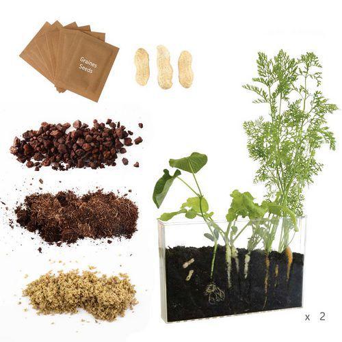 Coffret d'observation des racines thumbnail image 1