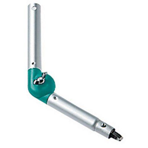 Illustration de : Rotule