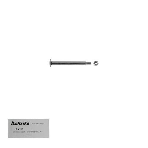 Illustration de : Axe de direction (vis + écrou) 1 - Italtrike