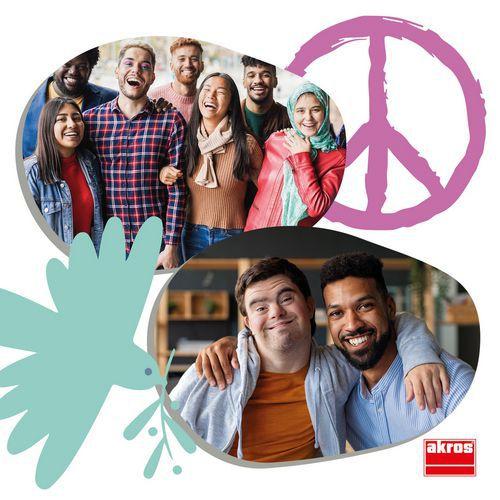 Illustration de : Mémory inclusion sociale - Akros