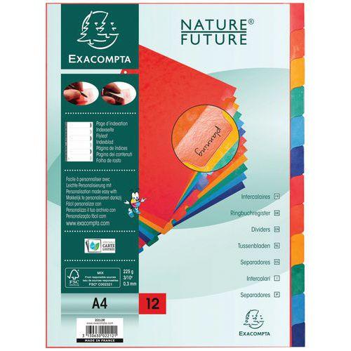 Lot de 15 Intercalaire carte lustrée 225g avec onglets 12 positions A4 thumbnail image 1