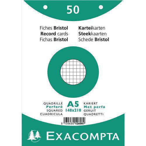 Lot de 20 Paquet 50 fiches sous film quadrillé 5x5 perforé 148x210mm thumbnail image 1
