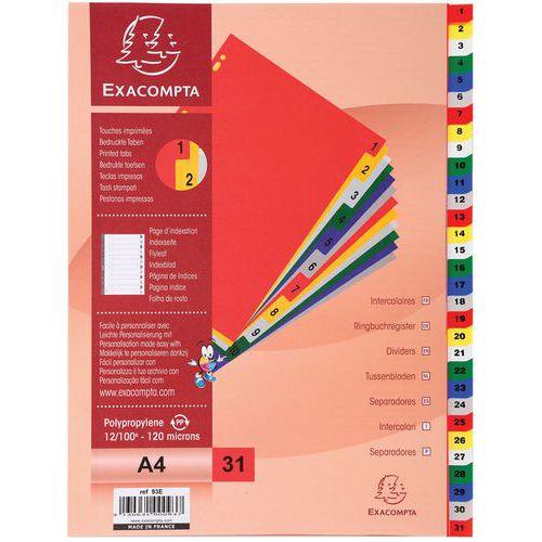 Set de 31 intercalaires imprimés numériques pp couleurs A4 (lot de 20) thumbnail image 1