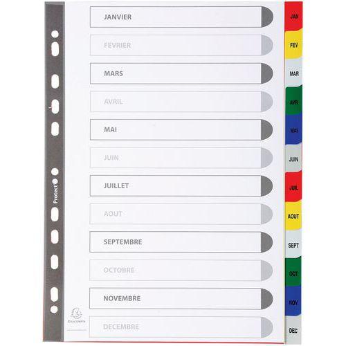 Lot de 20 Intercalaires imprimés mensuels pp couleurs janv-décembre A4 thumbnail image 1