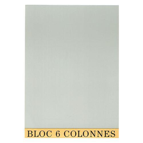 Lot de 5 Bloc de contrôle comptable 29,7x21cm 6 col. 70 feuillets thumbnail image 1