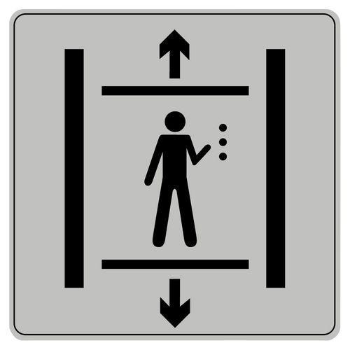 Pictogramme en polystyrène ISO 7001 - Ascenseur handicapé thumbnail image 1