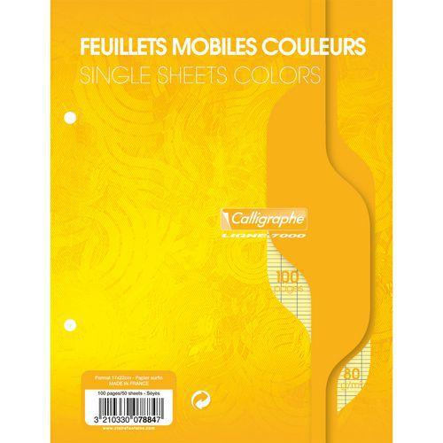 7000, Feuillets mobiles s/film 17x22 jaune 100p séyès 80g thumbnail image 1