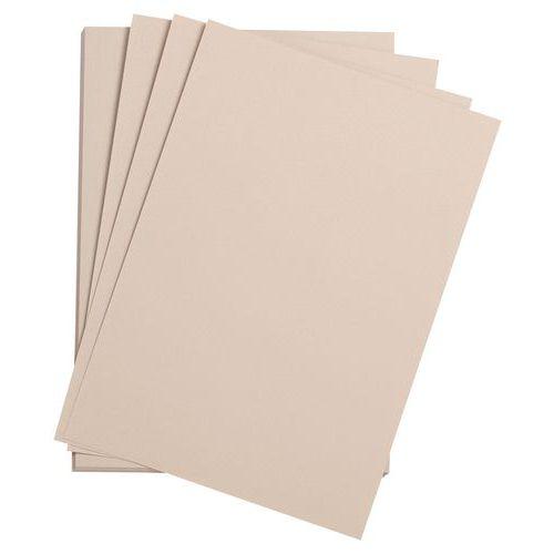 Paquet 24 feuilles Etival Color 160g 50x65 gris rose thumbnail image 1