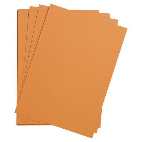 Paquet 24 feuilles Etival Color 160g 50x65 rouille thumbnail image 1