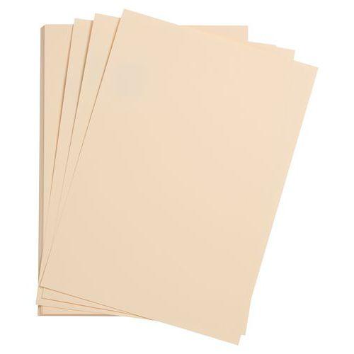 Paquet 24 feuilles Etival Color 160g 50x65 citronnelle thumbnail image 1