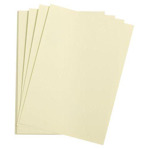 Paquet 24 feuilles Etival Color 160g 50x65 tilleul thumbnail image 1