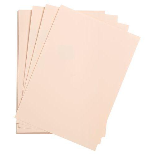 Paquet 24 feuilles Etival Color 160g 50x65 rose pâle thumbnail image 1