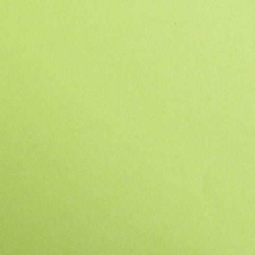 Paquet Maya 50x70cm 25 feuilles 120g vert mousse thumbnail image 1