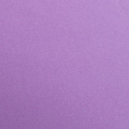 Paquet Maya 50x70cm 25 feuilles 120g violet thumbnail image 1