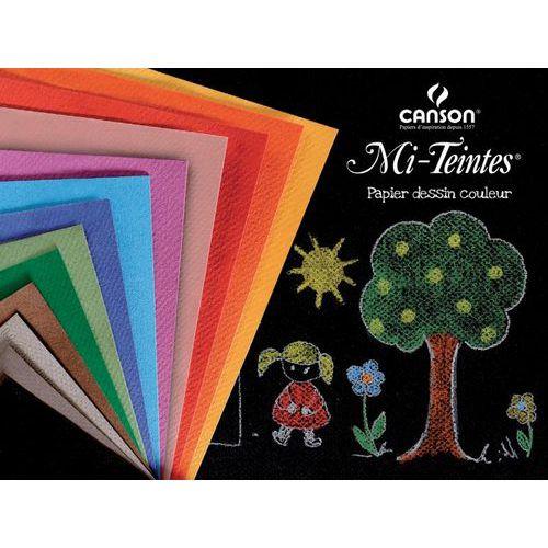 Illustration de : Ramette 250 feuilles 25 x 32,5 mi-teintes 160 g - Canson