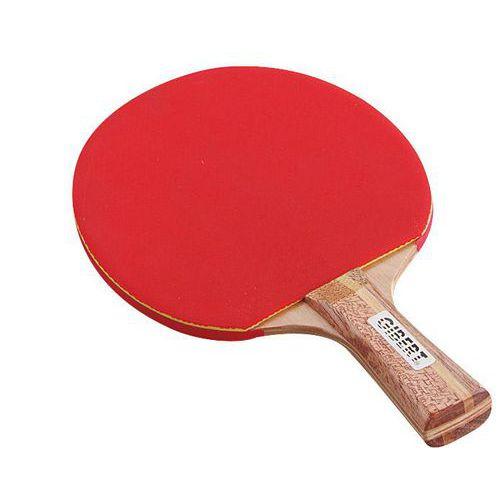 Illustration de : Raquette ping-pong initation