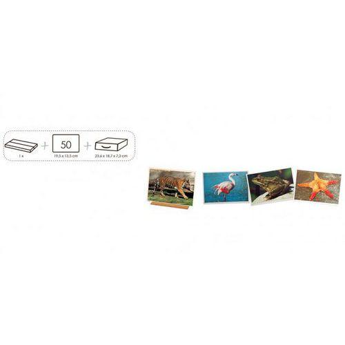 Atelier photos logiques : 'les animaux' thumbnail image 1