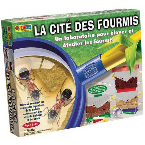 Illustration de : La cité des fourmis