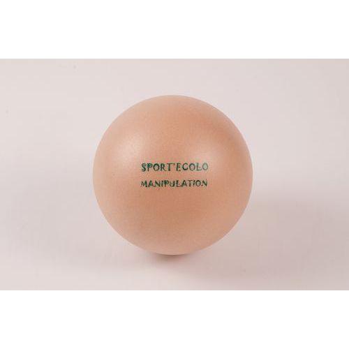 Illustration de : Ballon manipulation sport'ecolo t0