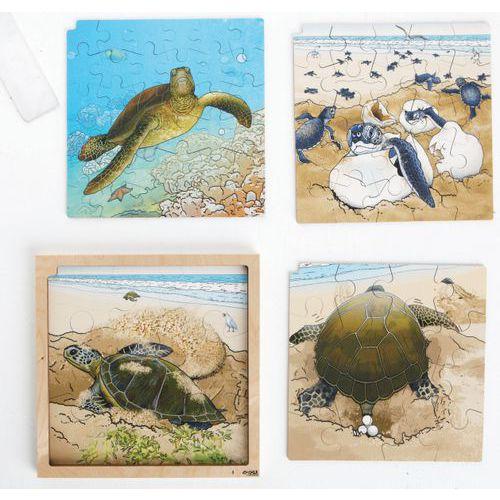 Illustration de : Puzzle développement de la tortue de mer - Rolf