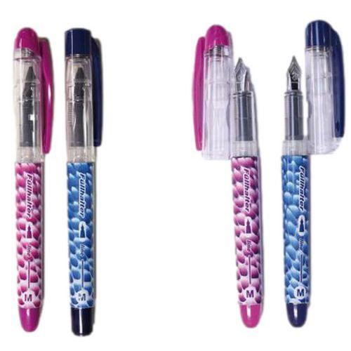 Illustration de : Lot de 10 stylos plume acier