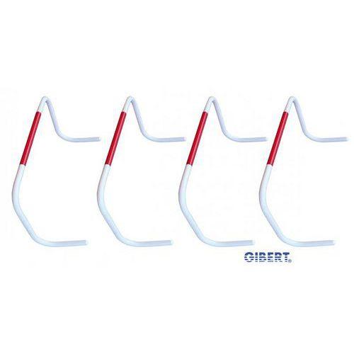 Illustration de : Haie monobloc basculantes auto relevantes