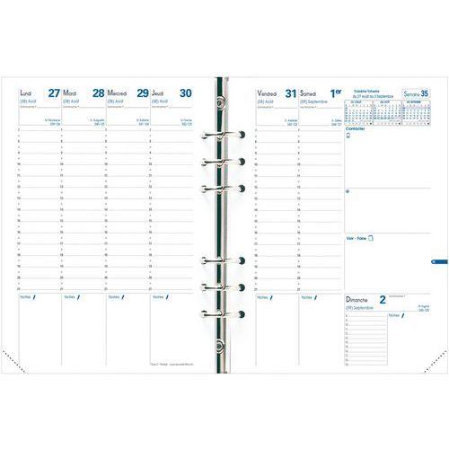 Recharge 2024-25 TIMER 21 PLANING Semainier thumbnail image 1