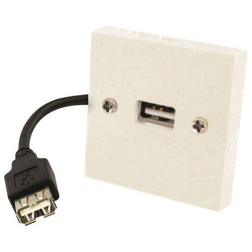 Plastron USB pour encastrement de prise Erard D3C fullname image