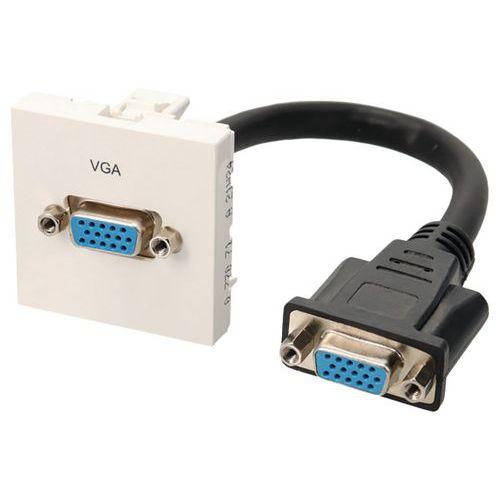 Plastron VGA 20 cm Femelle / Femelle thumbnail image 1