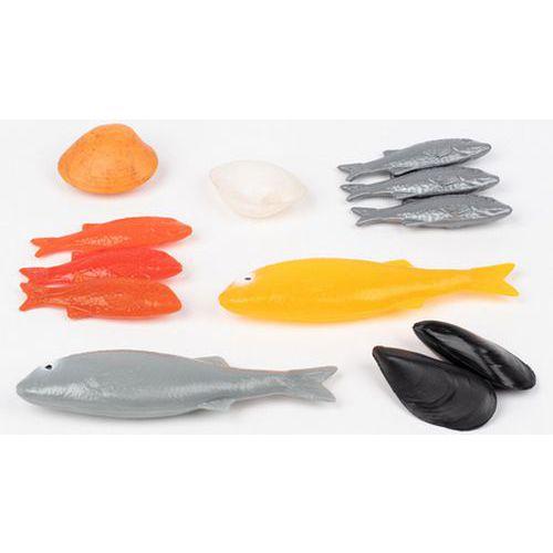 Illustration de : Lot 12 poissons