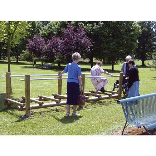 Illustration de : Saut de puce Boisdexter