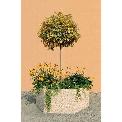 Jardinière Byblos hexagonale 150 x 112 x 55 cm beige - ciment blanc thumbnail image 1