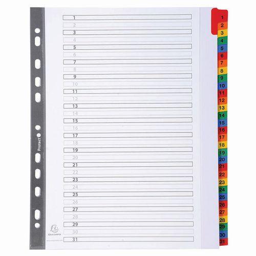 Lot de 10 Intercalaires Imprimés numériques 160g 31 pos A4 Maxi-Blanc thumbnail image 1