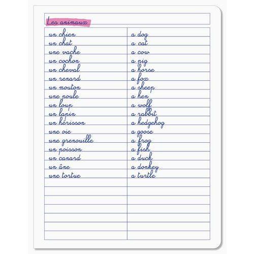 Illustration de : Cahier de vocabulaire polypropylène 17x22 ligné 96 pages - Conquerant