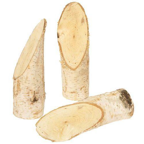 Illustration de : Tronc bouleau à décorer