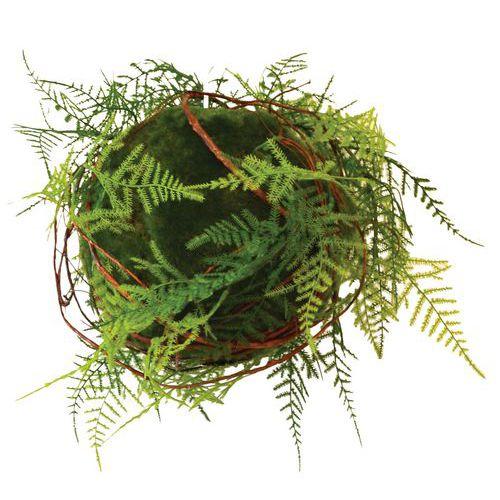 Plantes suspendues KYOTO FOUGERES thumbnail image 1