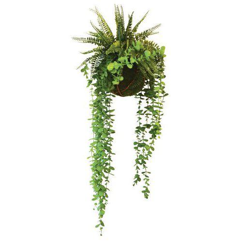 Plantes suspendues KYOTO FOUGERES EUCALYPTUS thumbnail image 1
